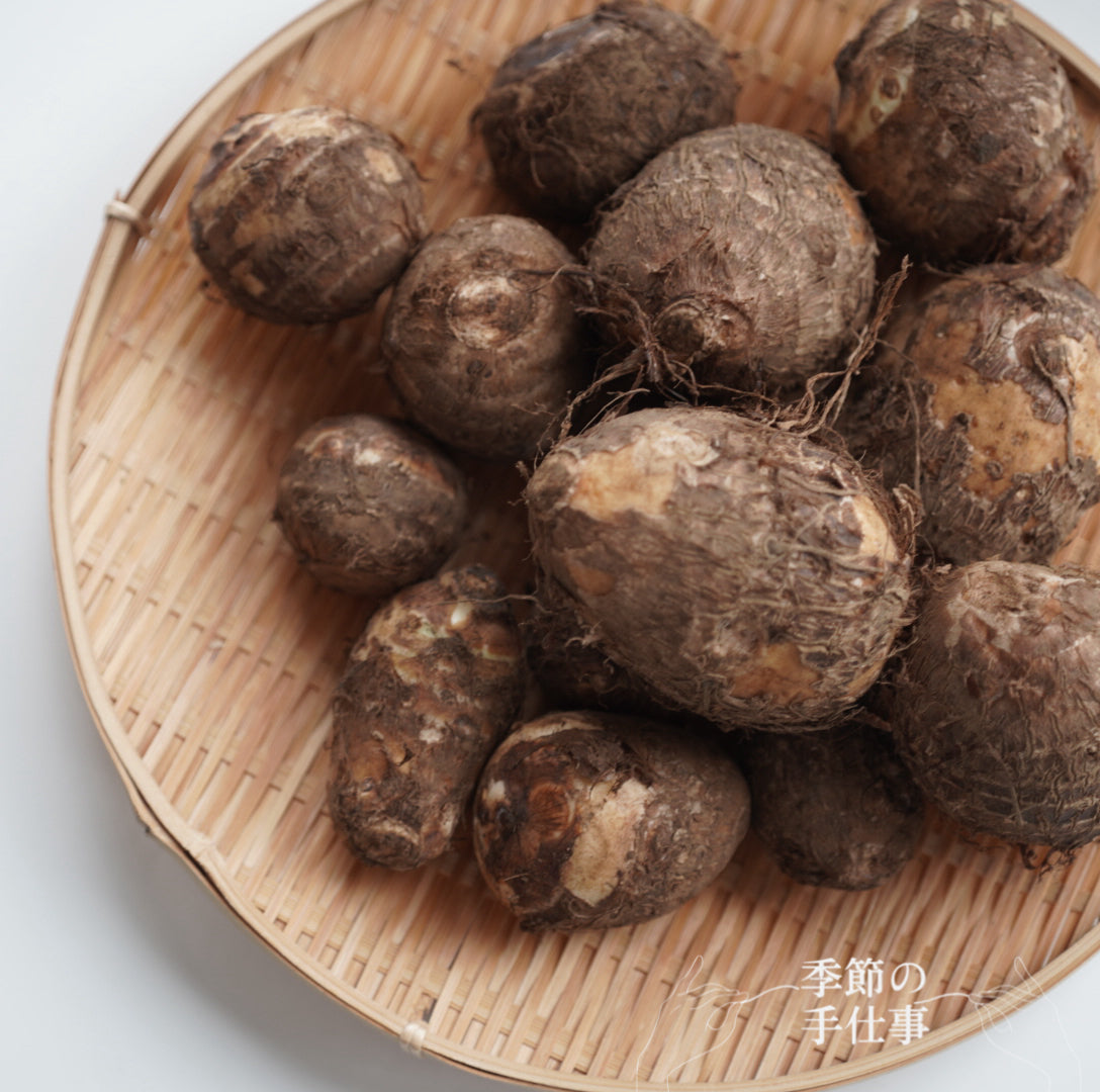 里芋※購入されないようご注意ください 里芋様専用※購入されないようご注意ください 里芋※購入されないようご