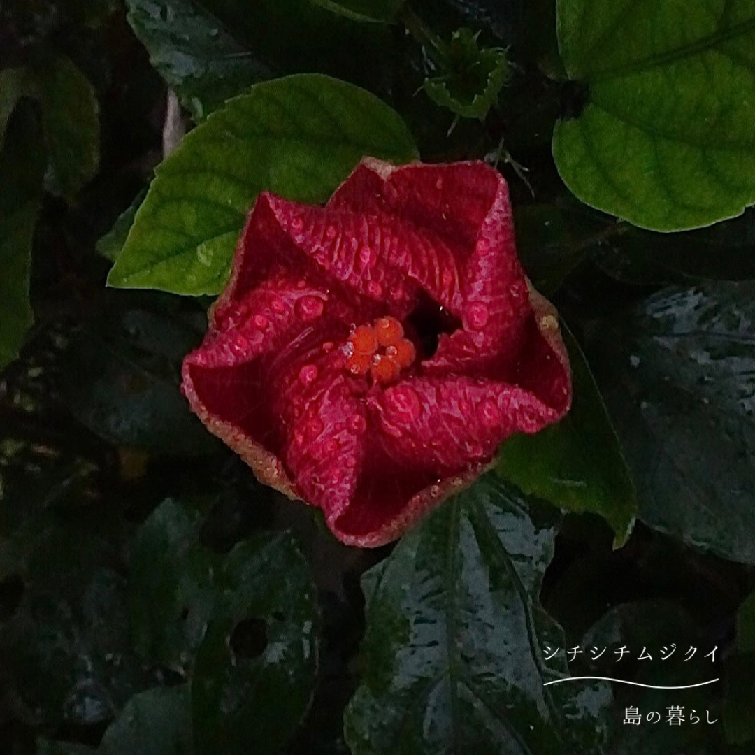 664fb7ba91c8a89a4381c5bb74adaa