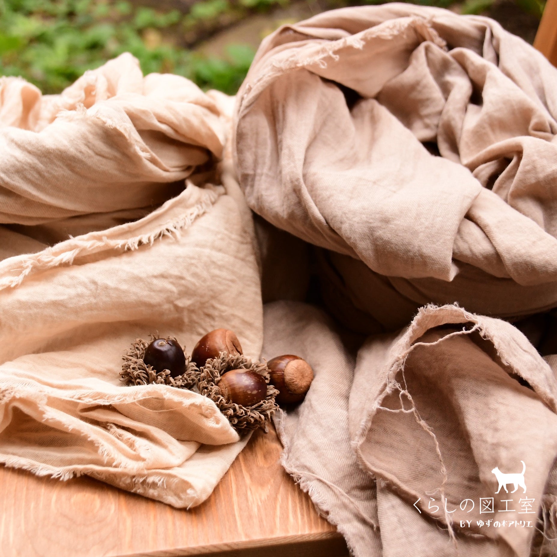 どんぐりページ 2023大阪府内一斉どんぐりまつり まち中公園自然観察隊「どんぐり