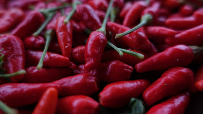 島唐辛子のおはなし<span class="blog_title_sub">〜島唐辛子の特徴と赤い実の活用法、自家製タバスコのレシピ〜</span>