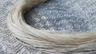 ローゼルのおはなし｜2025