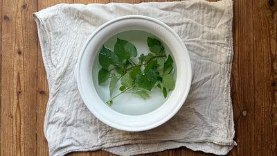 投げ込むだけのハーブバス<span class="blog_title_sub">〜レモンバームやドクダミで、夏の不調を整える〜</span>