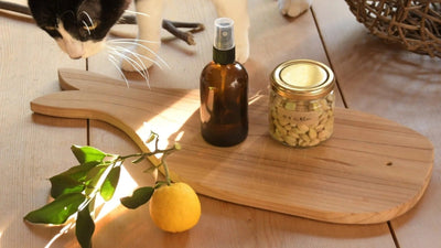 ゆずの種で作る化粧水<span class="blog_title_sub">〜黄柚子の種のペクチンでしっとり、手作り化粧水レシピ〜</span>