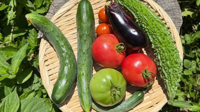 家庭菜園のある子どもとの暮らし<span class="blog_title_sub">〜育てて、楽しみ、学ぶ、有機栽培と収穫体験〜</span>