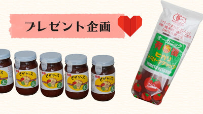 【キャンペーン】＼X（旧Twitter）フォロワー5名様限定／ヒカリ食品のピザソース&ケチャップセットプレゼント♫