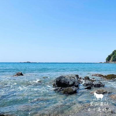 潮風薫る初夏の里山