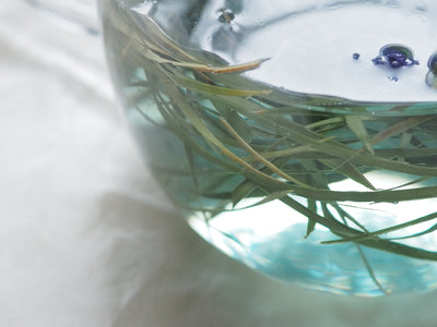 【ワークショップ】2025/8/24（日）月桃でつくる三角茶漉し＆碧い月桃茶を愉しむ会