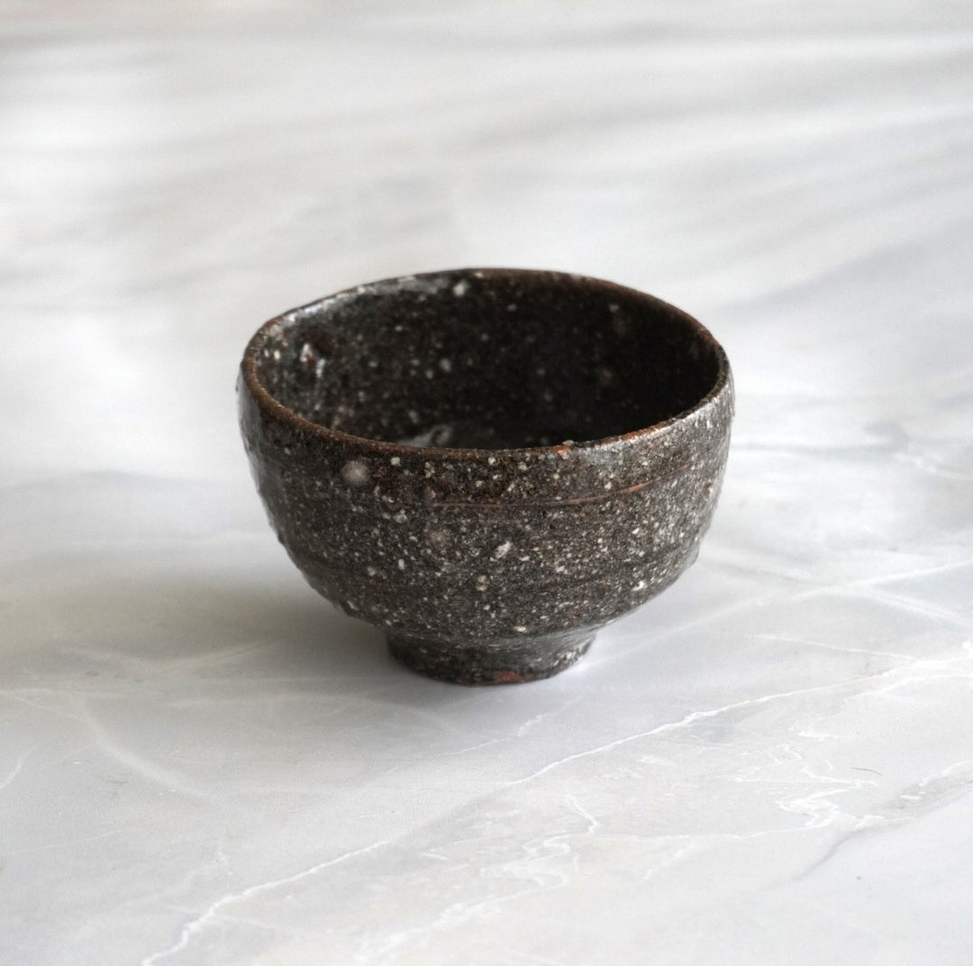 DSC03540-1_1080x.jpg?v=1687607395