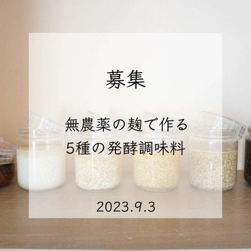 【ワークショップ】2023/9/3（日）無農薬の麹で発酵調味料5種を作る